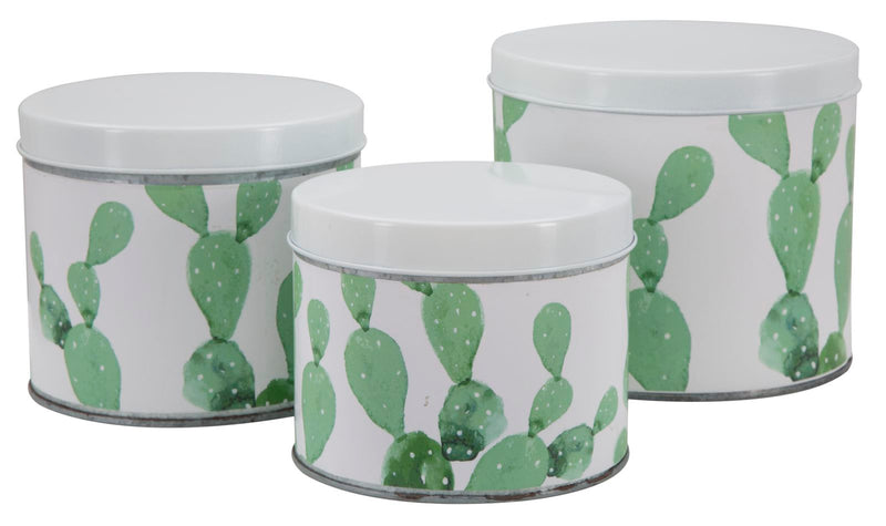 Mauro Ferretti Cofanetti in Latta Cactus Set 3 pz Ø 15 x 13,5-14 x 11,5-12,5 x 10 cm