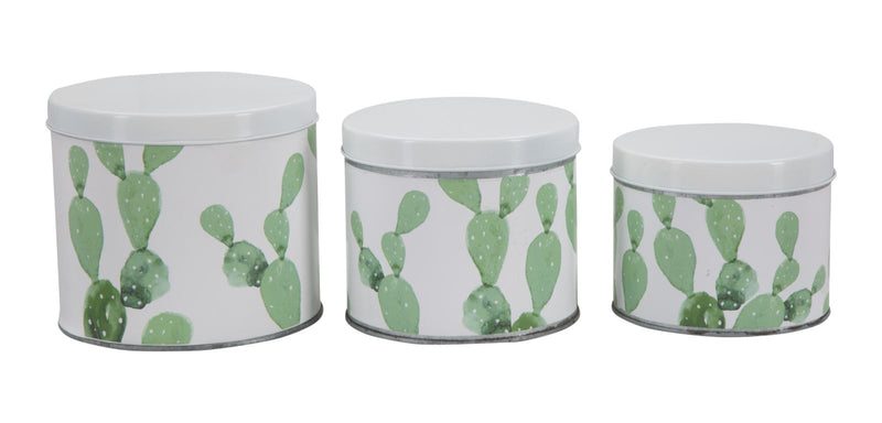 Mauro Ferretti Cofanetti in Latta Cactus Set 3 pz Ø 15 x 13,5-14 x 11,5-12,5 x 10 cm