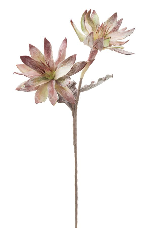 Mauro Ferretti Glsang Flower x2 Verde Ø 28 x 88 cm