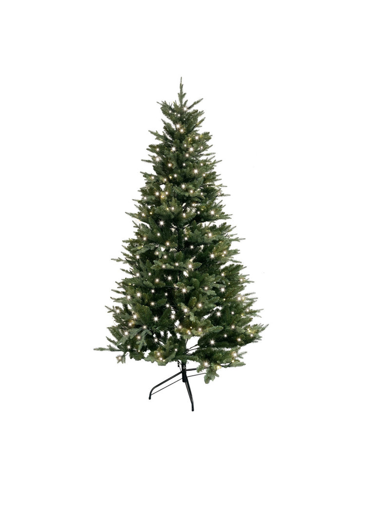 Brandani Abete con 600 LED