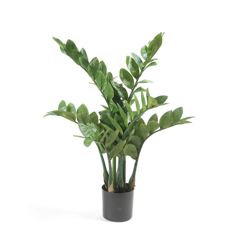 Zamioculcas artificiale 70 cm Emerald