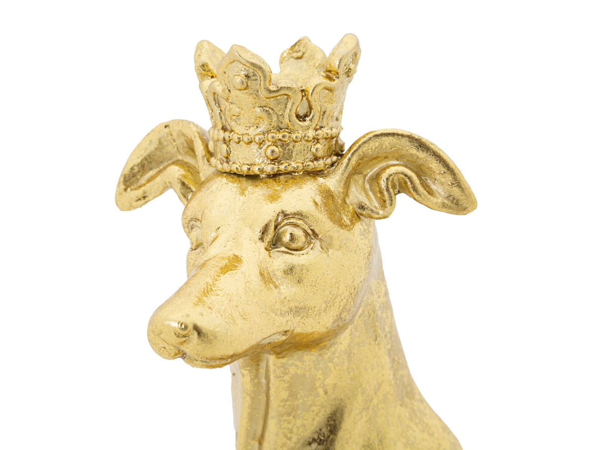 Mauro Ferretti Cane con Corona Oro 20 x 12,5 x 33 cm