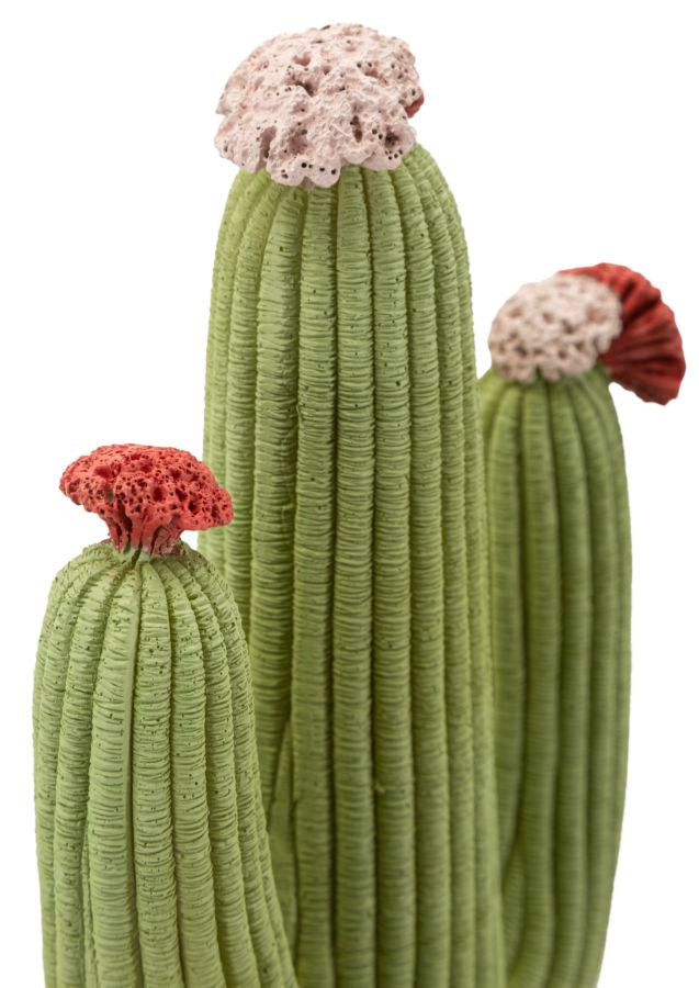 Mauro Ferretti Cactus 16,5 x 11 x 45 cm