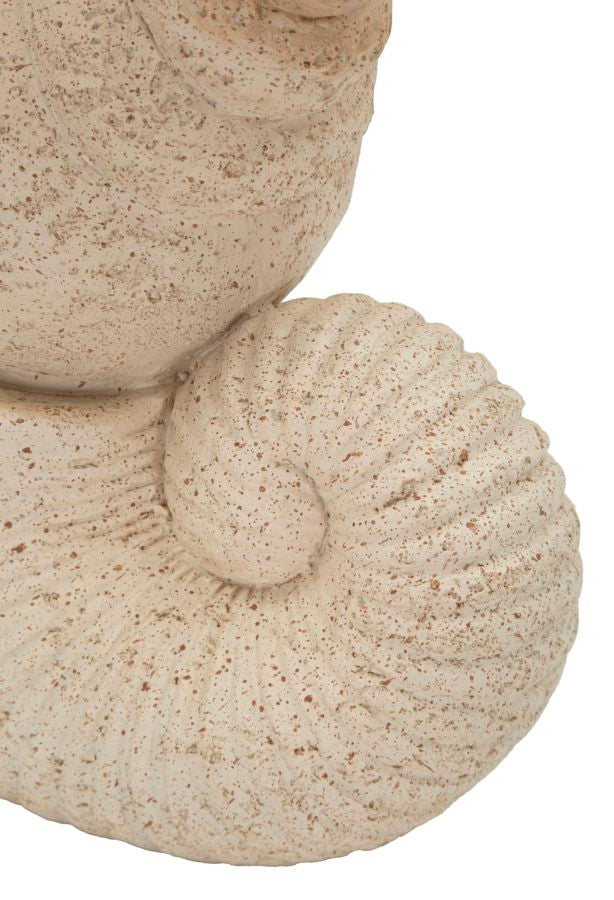 Conchiglia sand cm 17,2x10x30,2