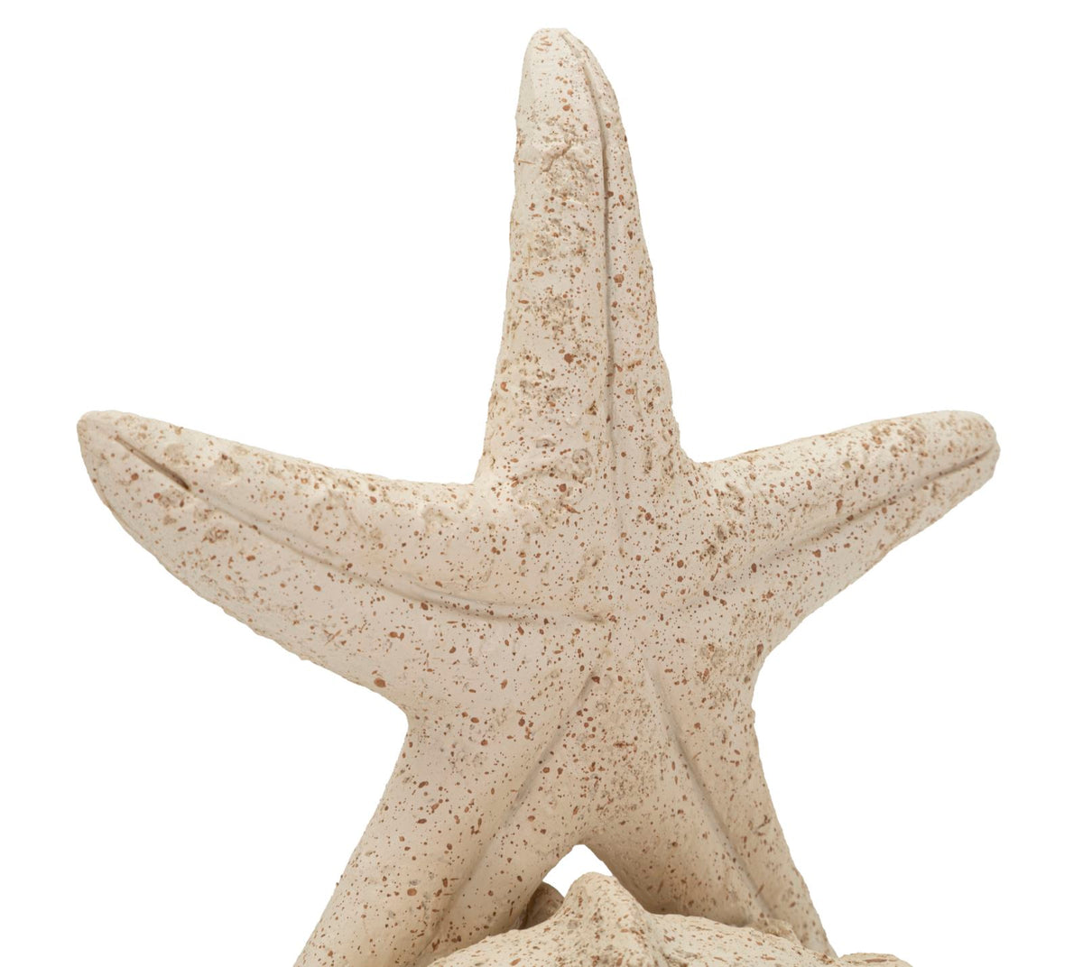 Stella marina sand cm 18x13x21,2