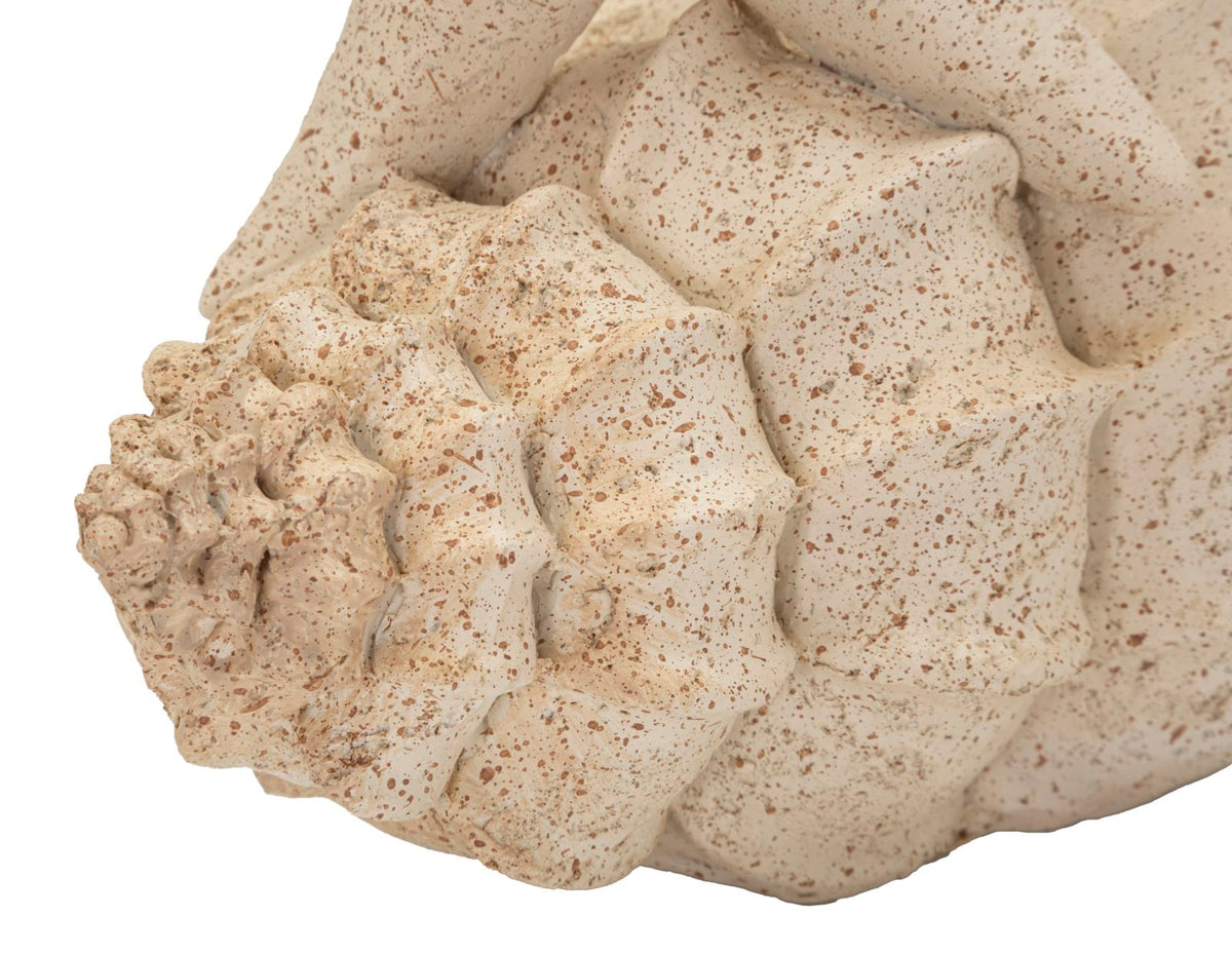 Stella marina sand cm 18x13x21,2