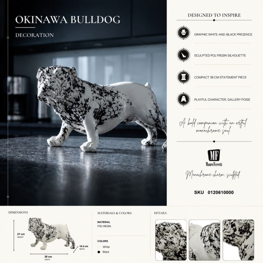 Bull dog okinawa cm 38x18,50x21