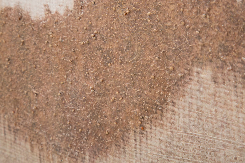 Mauro Ferretti Dipinto su Tela Browny 80 x 3,7 x 100 cm