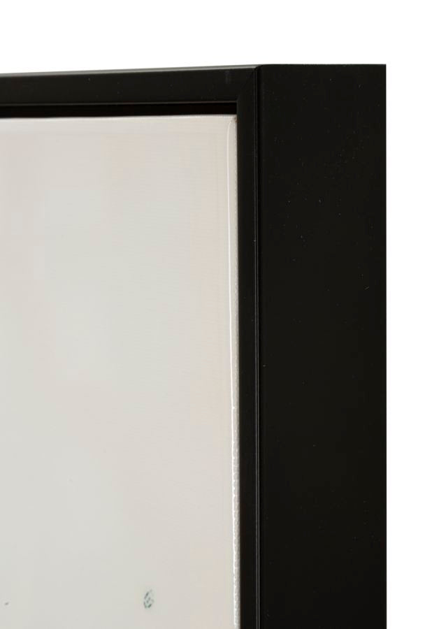 Dipinto su tela laccato altea -b- c/cornice cm 82x4x82