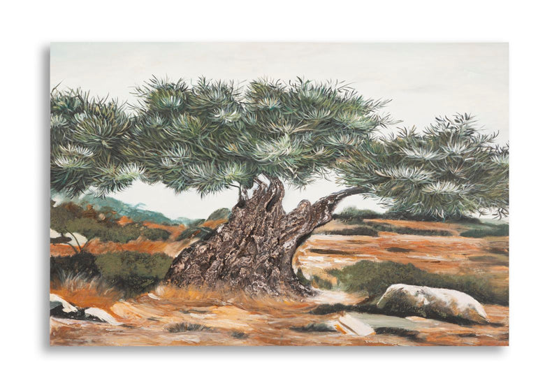 Dipinto su tela olivo -b- cm 120x3,8x80