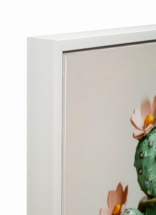 Stampa su tela laccata c/cornice vasetto cactus -c- cm 40x2,8x40