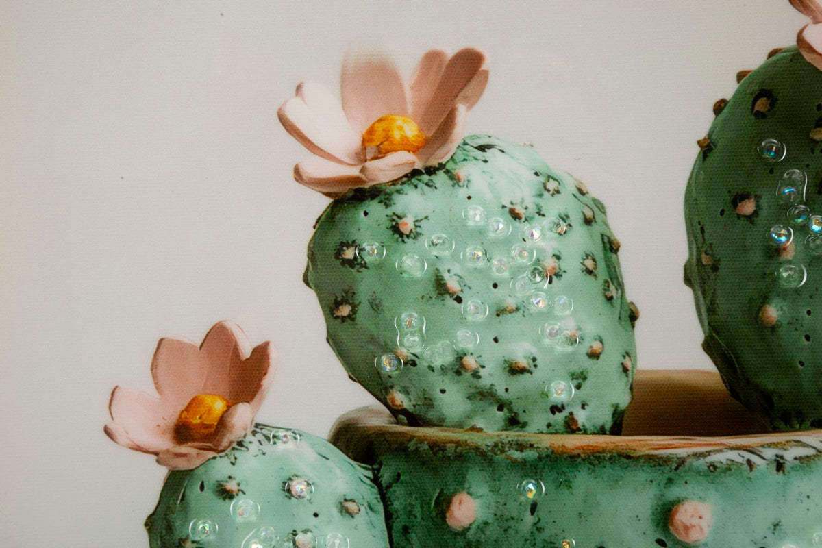 Stampa su tela laccata c/cornice vasetto cactus -c- cm 40x2,8x40