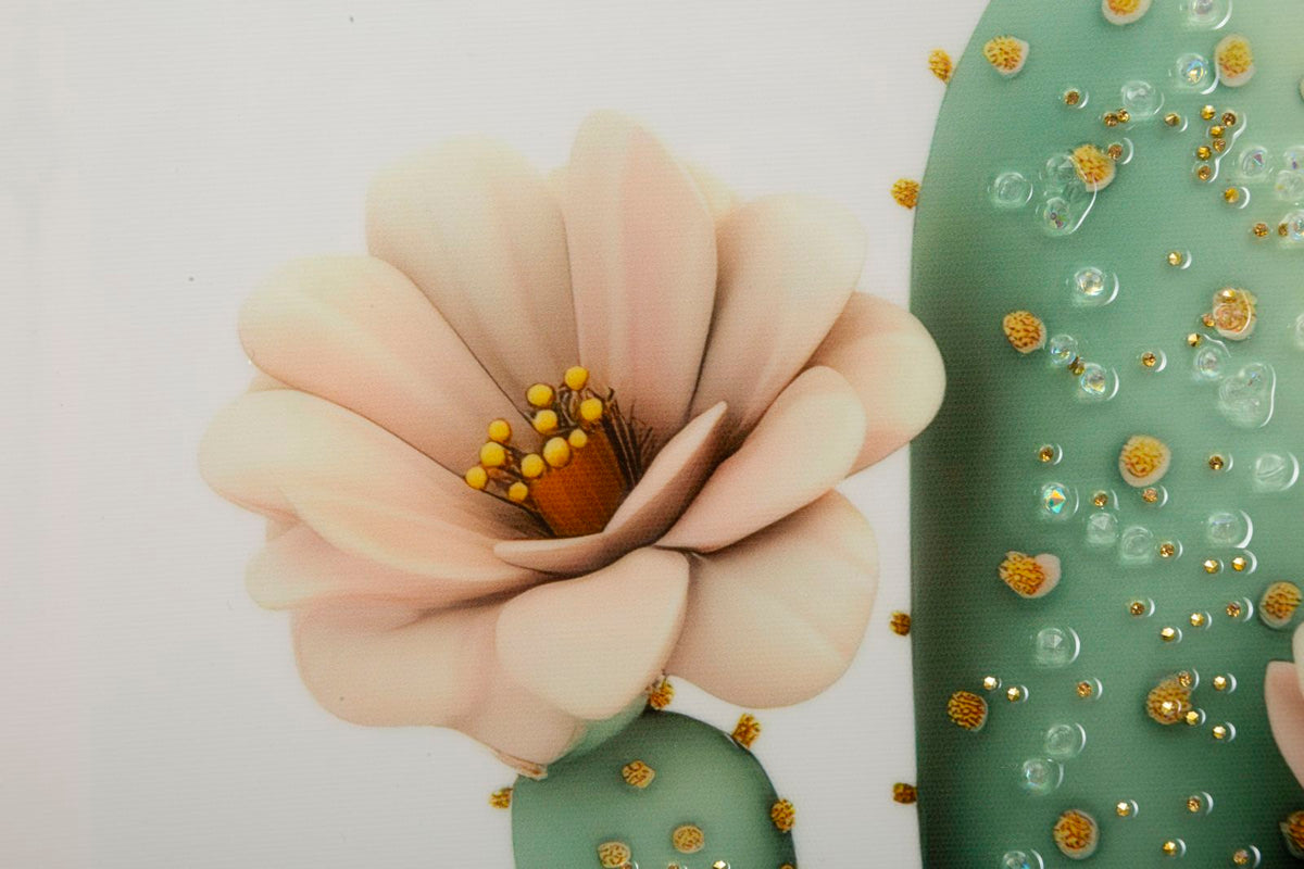 Stampa su tela laccata c/cornice vasetto cactus -d- cm 40x2,8x40