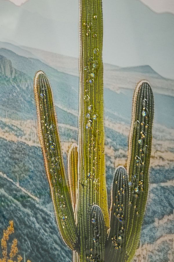 Stampa su tela laccata c/cornice cactus -b- cm 60x4x90
