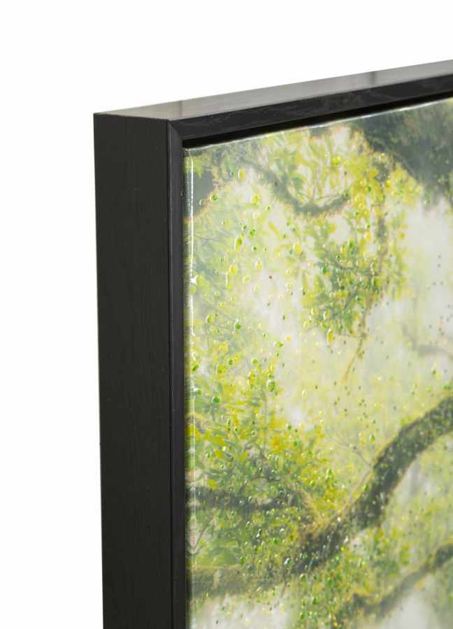 Stampa su tela laccata c/cornice foresta cm 90x4x60
