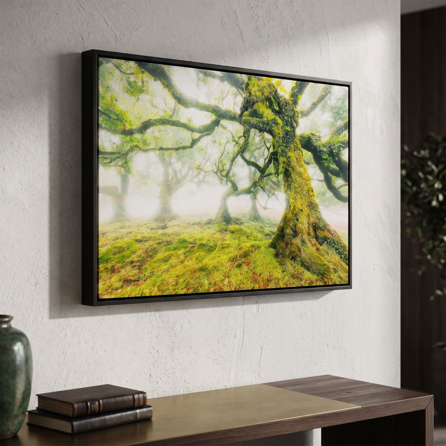 Stampa su tela laccata c/cornice foresta cm 90x4x60