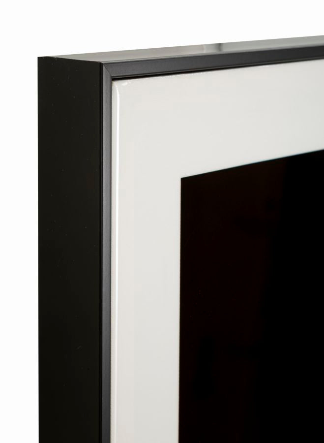 Dipinto su tela laccato giaguaro c/cornice -a- cm 82x4x82