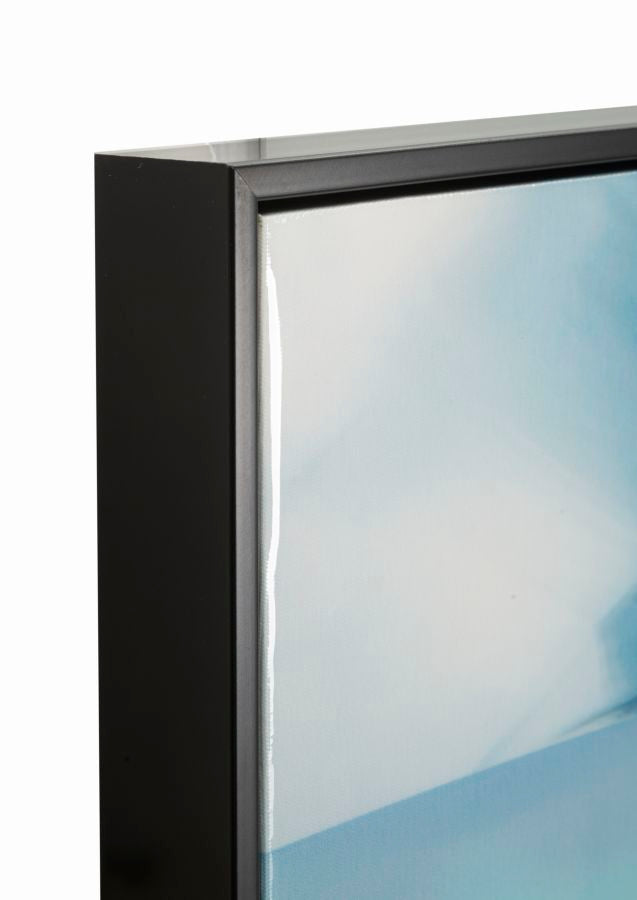 Dipinto su tela laccato pam c/cornice -a- cm 62x4x92