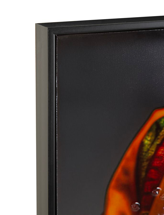 Stampa decorata su tela laccata c/cornice maya cm 60x4x120