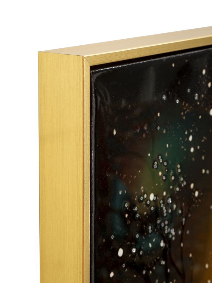 Stampa decorata su tela laccata c/cornice peacock cm 70x4 x100