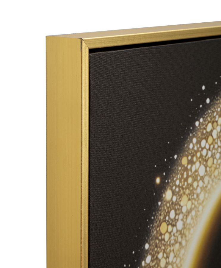 Stampa c/LED su tela laccata c/cornice inda cm 60x3,5x90 alimentazione batterie
