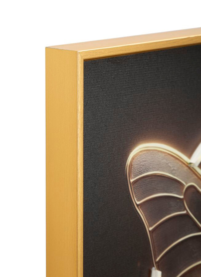 Stampa c/LED su tela laccata c/cornice butterfly cm 50x4x50 alimentazione usb