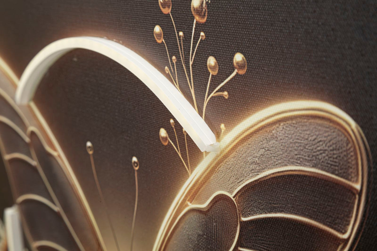 Stampa c/LED su tela laccata c/cornice butterfly cm 50x4x50 alimentazione usb