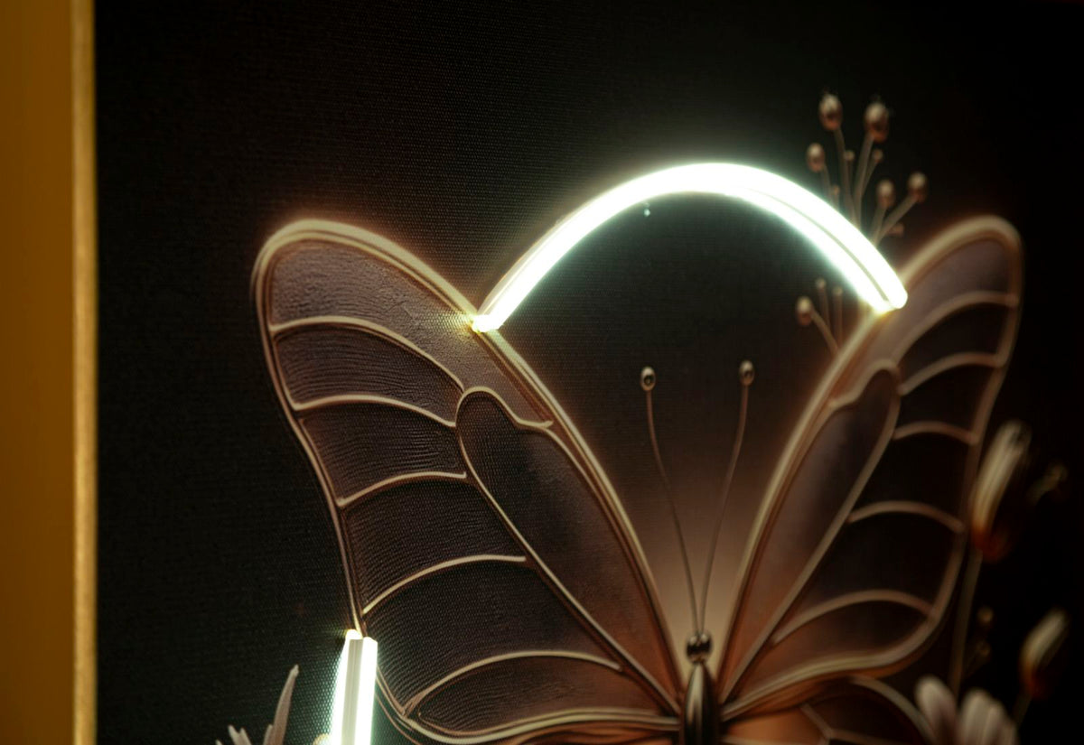 Stampa c/LED su tela laccata c/cornice butterfly cm 50x4x50 alimentazione usb