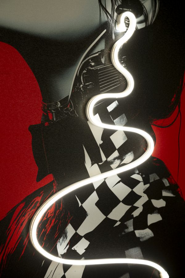 Stampa c/LED su tela psyco -b- cm 60x3,5x90 (applicazione 3d acrilico)