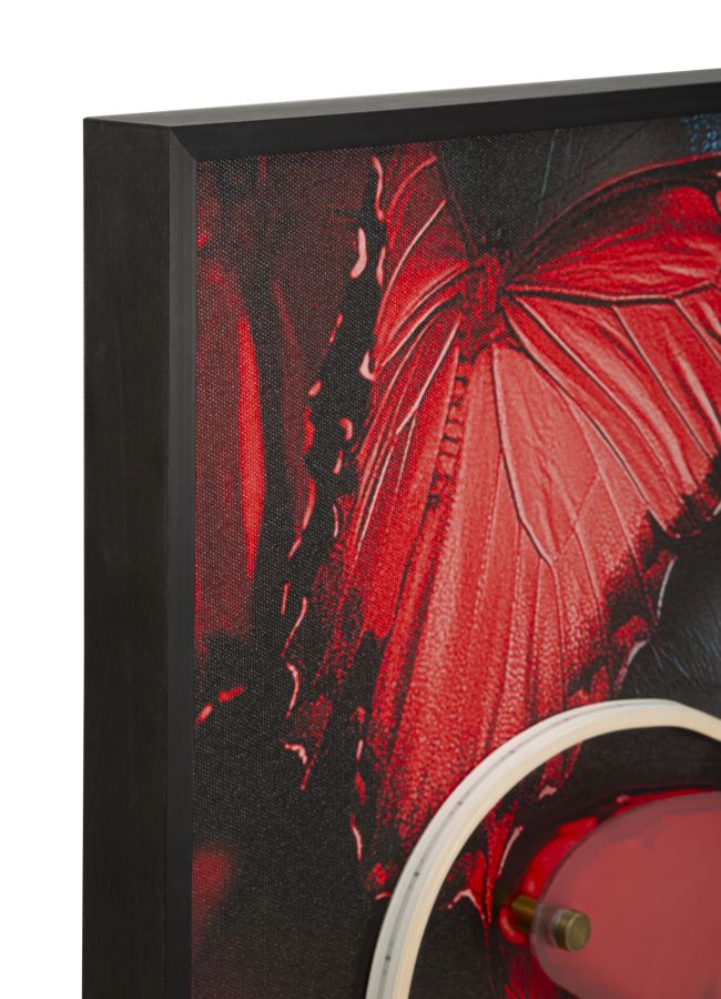Stampa c/LED su tela butterflies cm 60x3,5x90 (applicazione 3d acrilico)
