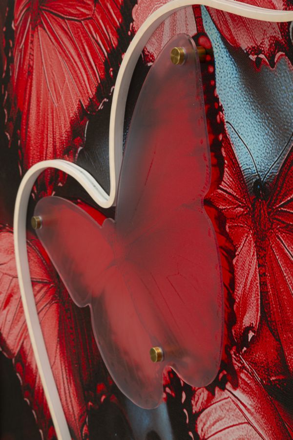 Stampa c/LED su tela butterflies cm 60x3,5x90 (applicazione 3d acrilico)