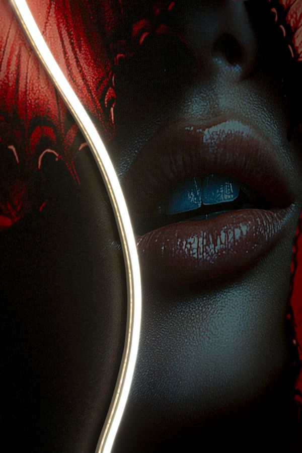 Stampa c/LED su tela butterflies cm 60x3,5x90 (applicazione 3d acrilico)