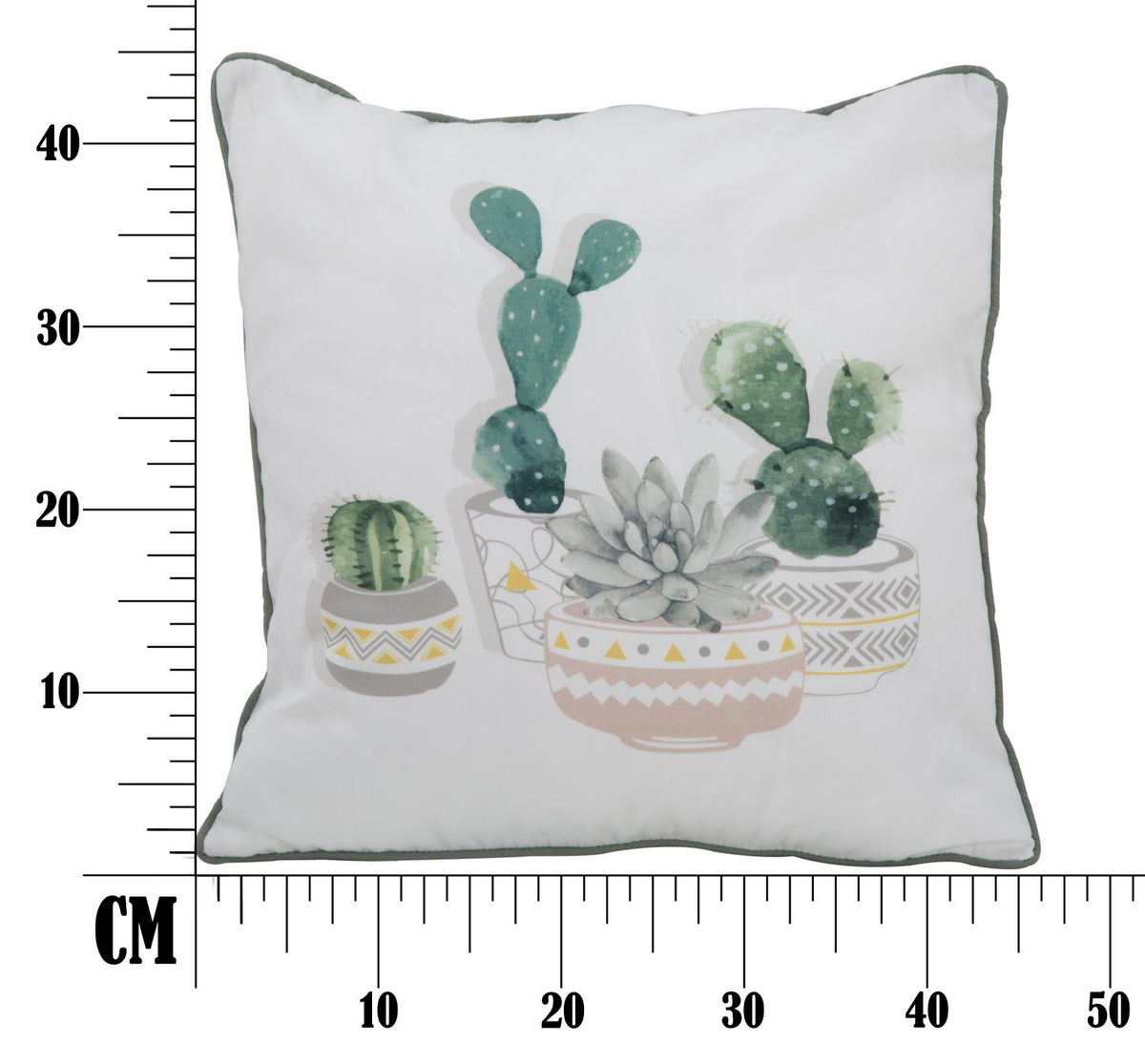 Mauro Ferretti Cuscino Cactus -a- 45 x 45 cm