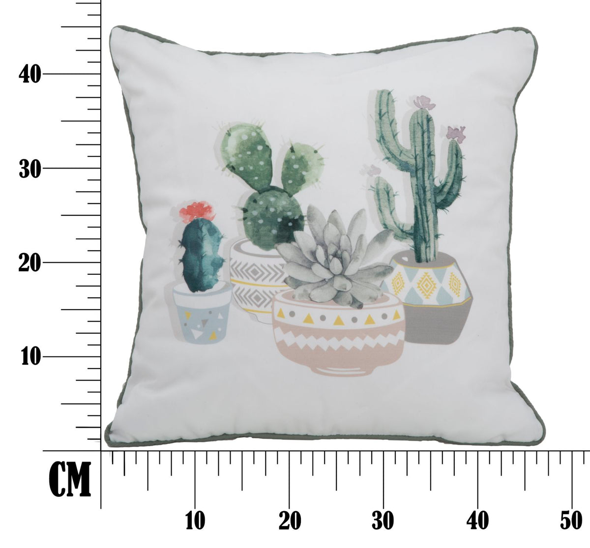 Mauro Ferretti Cuscino Cactus -b- 45 x 45 cm