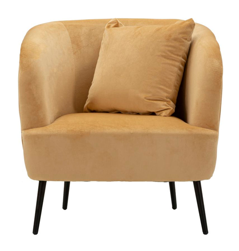 Poltrona browy c/cuscino cm 73x66x78