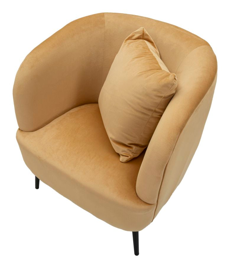 Poltrona browy c/cuscino cm 73x66x78
