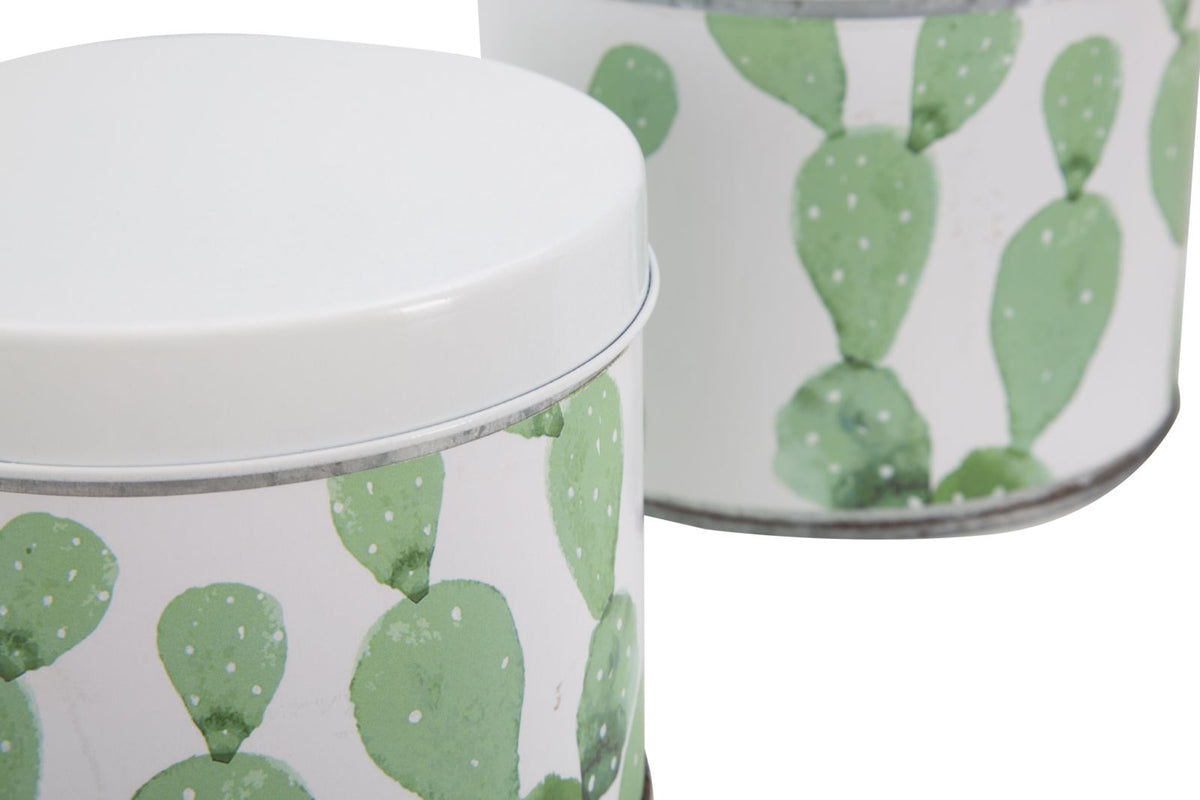 Mauro Ferretti Cofanetti in Latta Cactus Set 3 pz Ø 15 x 13,5-14 x 11,5-12,5 x 10 cm