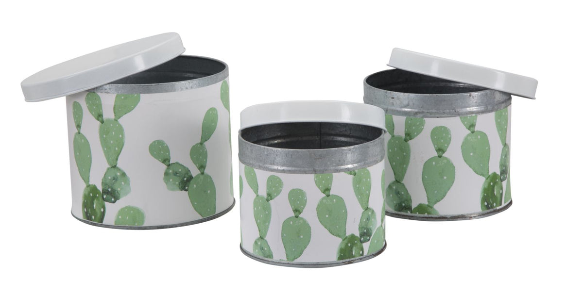 Mauro Ferretti Cofanetti in Latta Cactus Set 3 pz Ø 15 x 13,5-14 x 11,5-12,5 x 10 cm