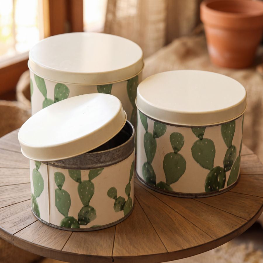Mauro Ferretti Cofanetti in Latta Cactus Set 3 pz Ø 15 x 13,5-14 x 11,5-12,5 x 10 cm