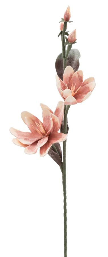 Mauro Ferretti Magnolia x2 Arancione Ø 25 x 98 cm