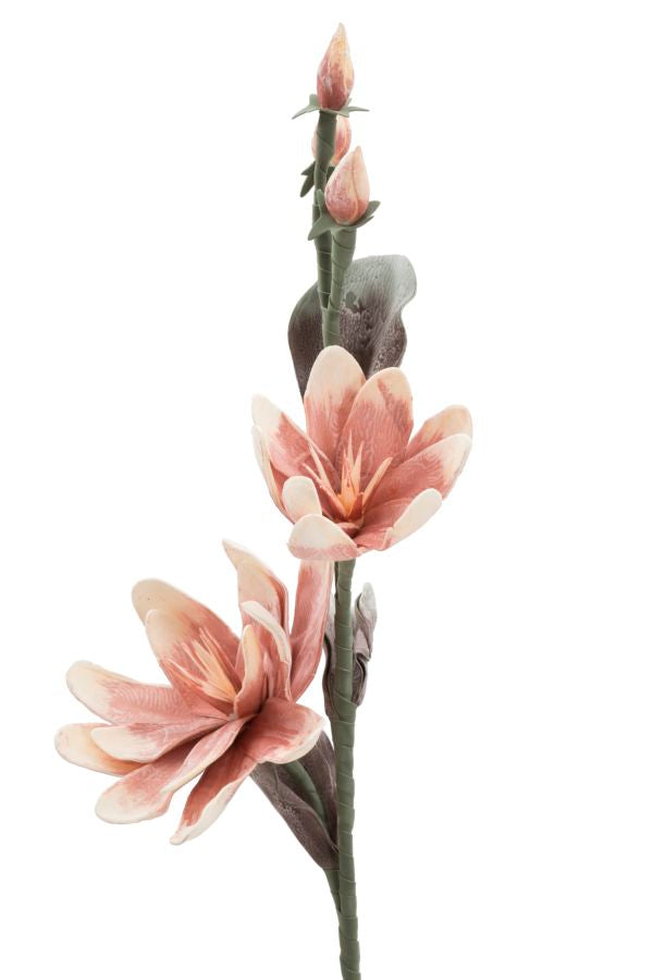 Mauro Ferretti Magnolia x2 Arancione Ø 25 x 98 cm