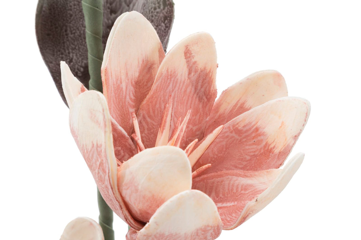 Mauro Ferretti Magnolia x2 Arancione Ø 25 x 98 cm