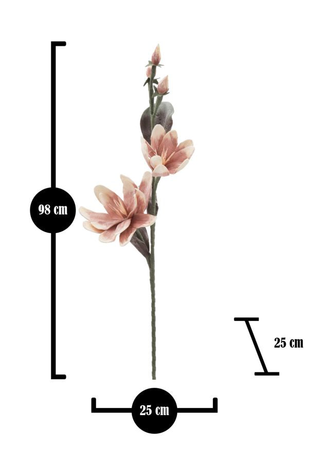 Mauro Ferretti Magnolia x2 Arancione Ø 25 x 98 cm