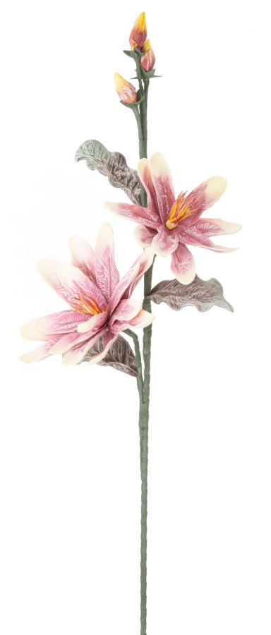 Mauro Ferretti Magnolia x2 Purple Ø 25 x 98 cm