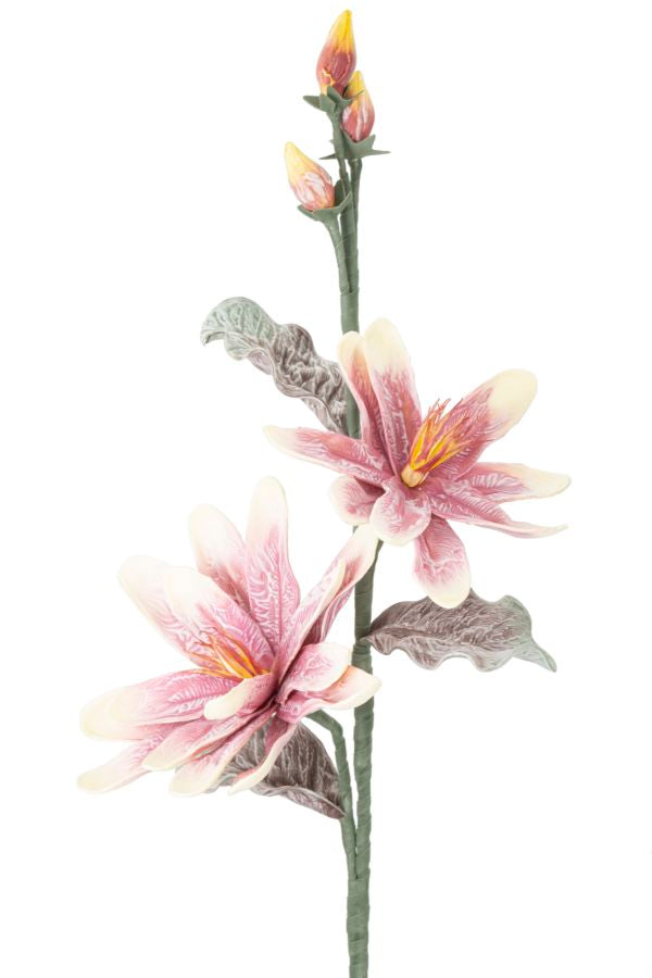 Mauro Ferretti Magnolia x2 Purple Ø 25 x 98 cm