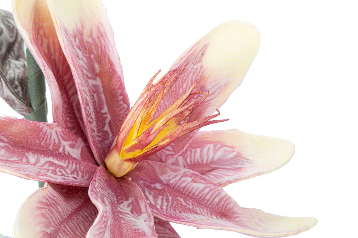 Mauro Ferretti Magnolia x2 Purple Ø 25 x 98 cm