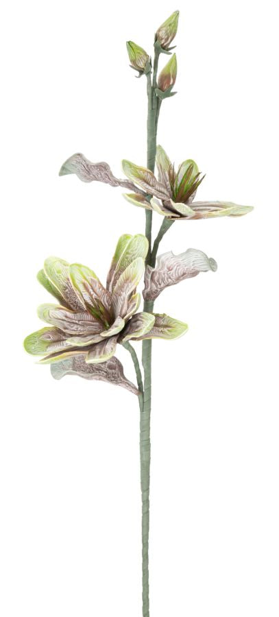 Mauro Ferretti Magnolia x2 Verde Ø 25 x 98 cm