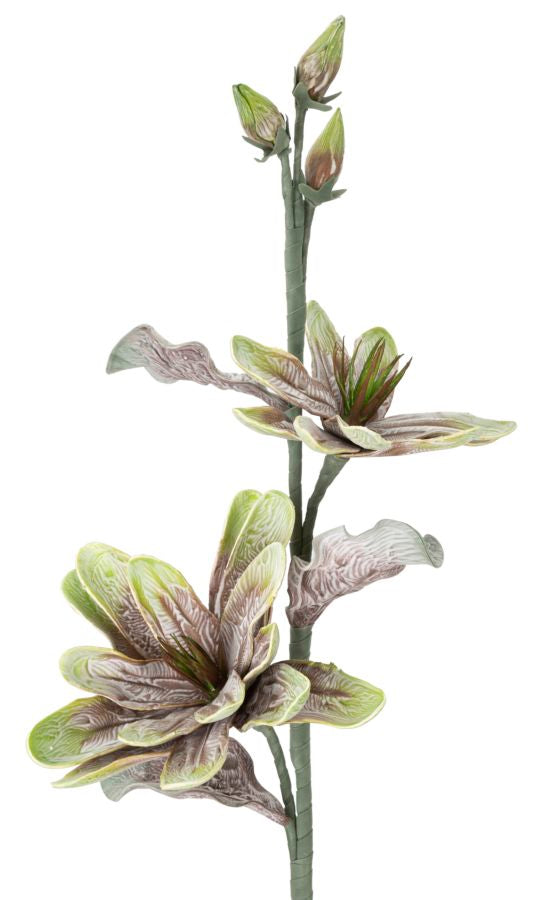 Mauro Ferretti Magnolia x2 Verde Ø 25 x 98 cm