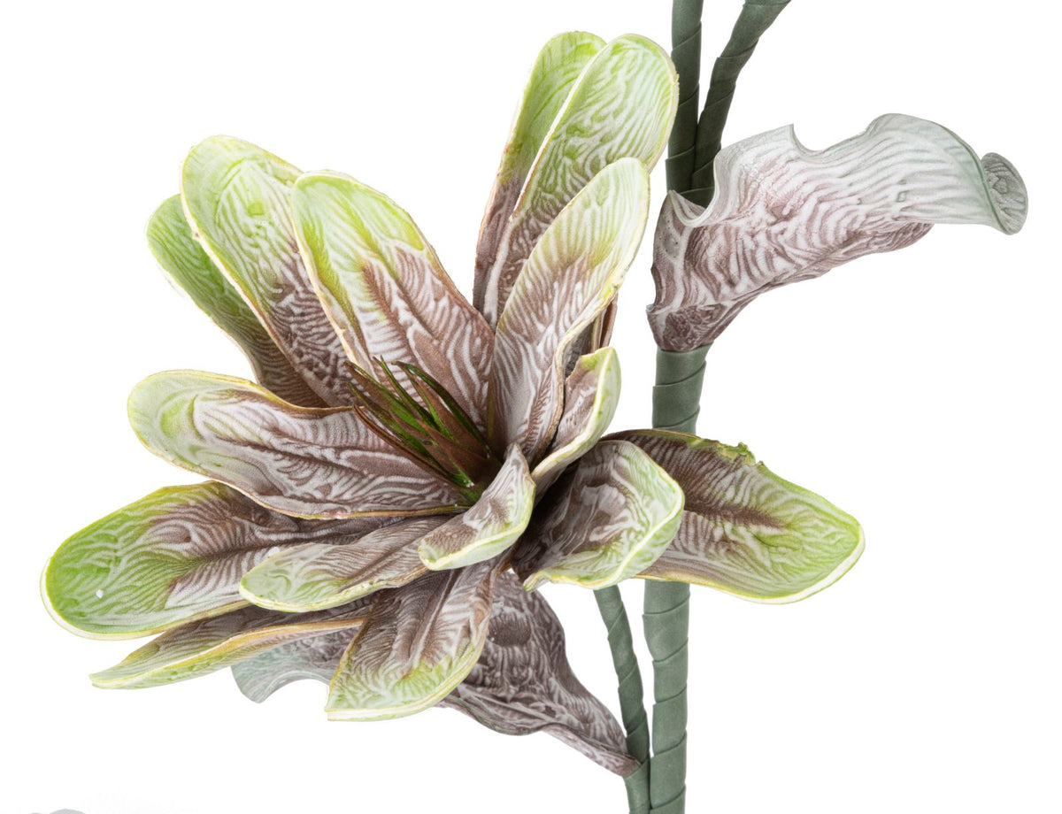 Mauro Ferretti Magnolia x2 Verde Ø 25 x 98 cm