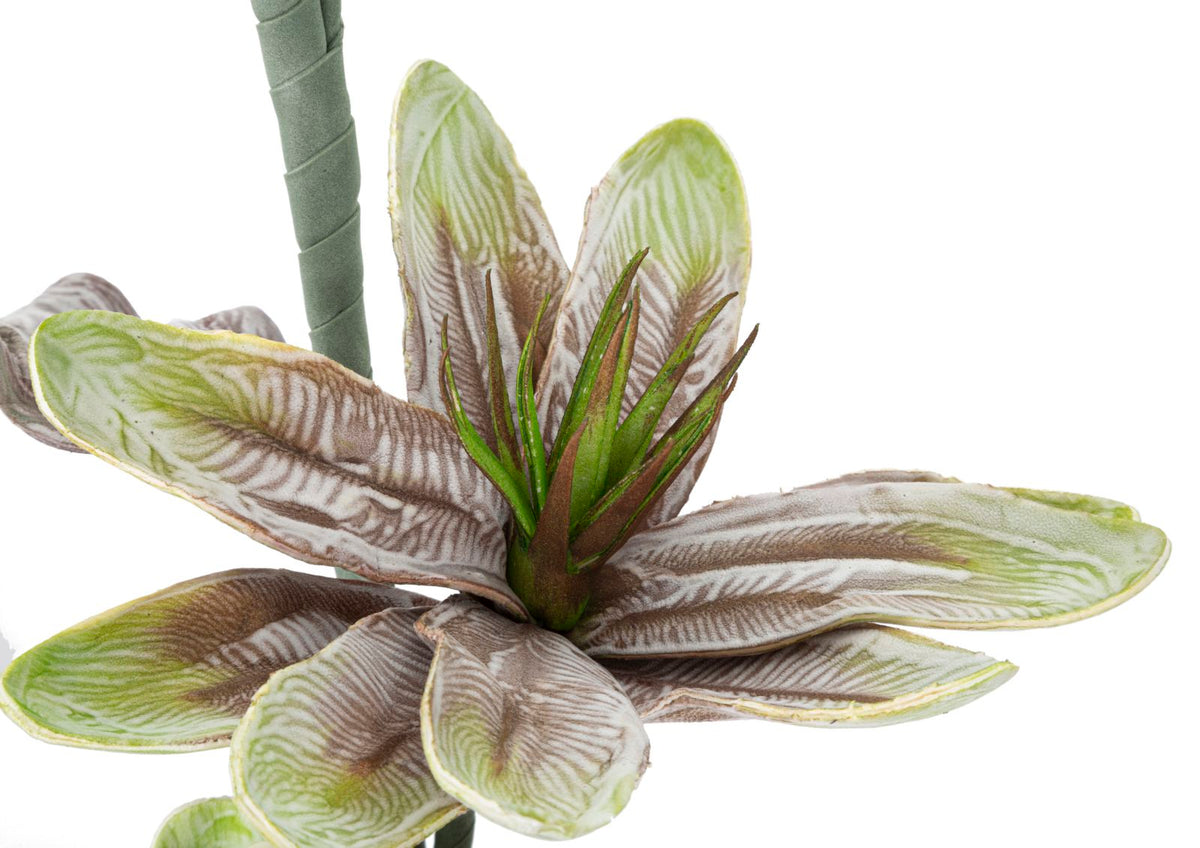 Mauro Ferretti Magnolia x2 Verde Ø 25 x 98 cm
